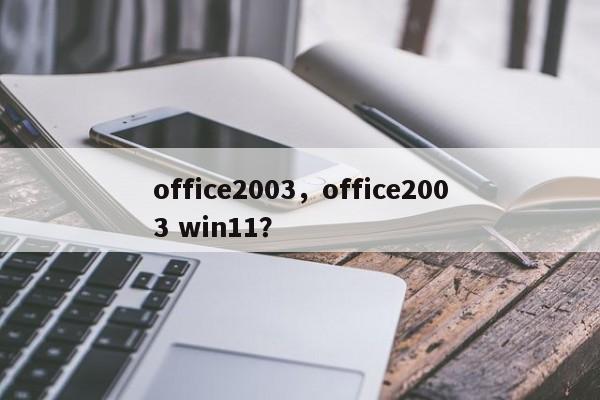 office2003，office2003 win11？