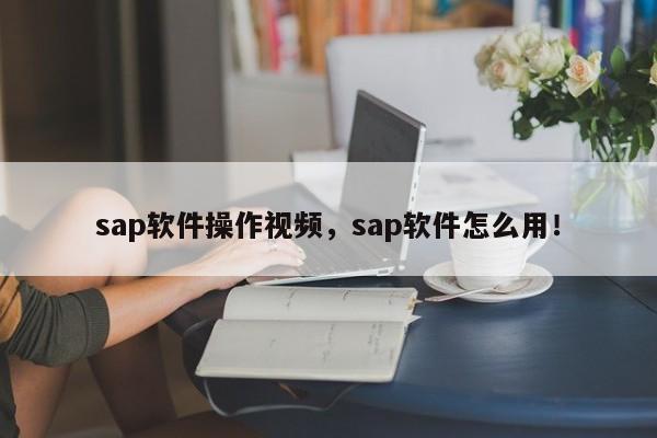 sap软件操作视频，sap软件怎么用！