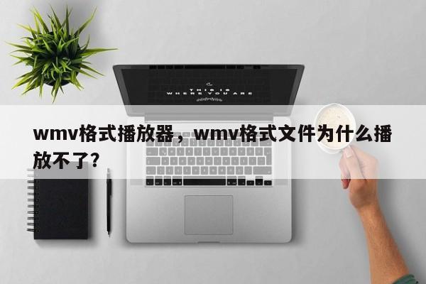 wmv格式播放器，wmv格式文件为什么播放不了？